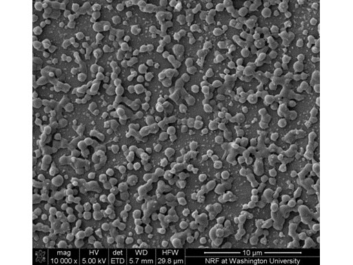 Particle Lab Microscope Image