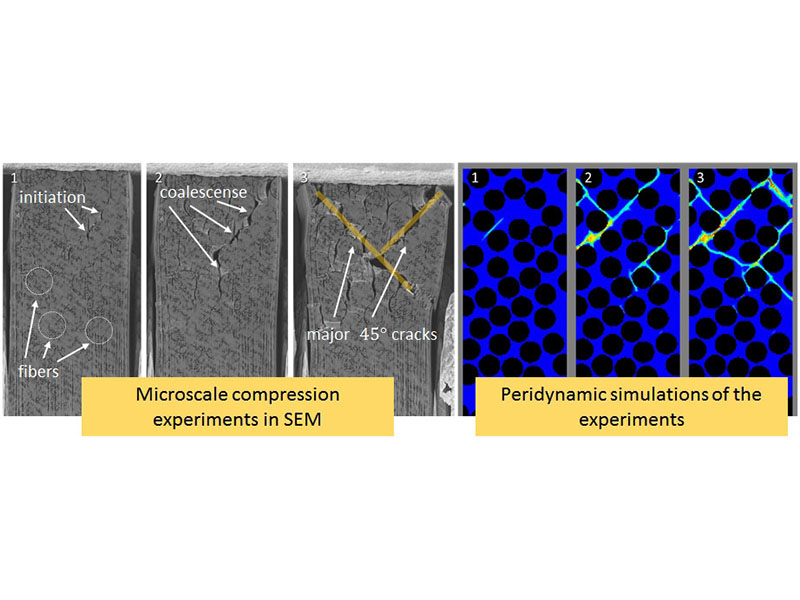 Guven Lab Impact Model Image 2