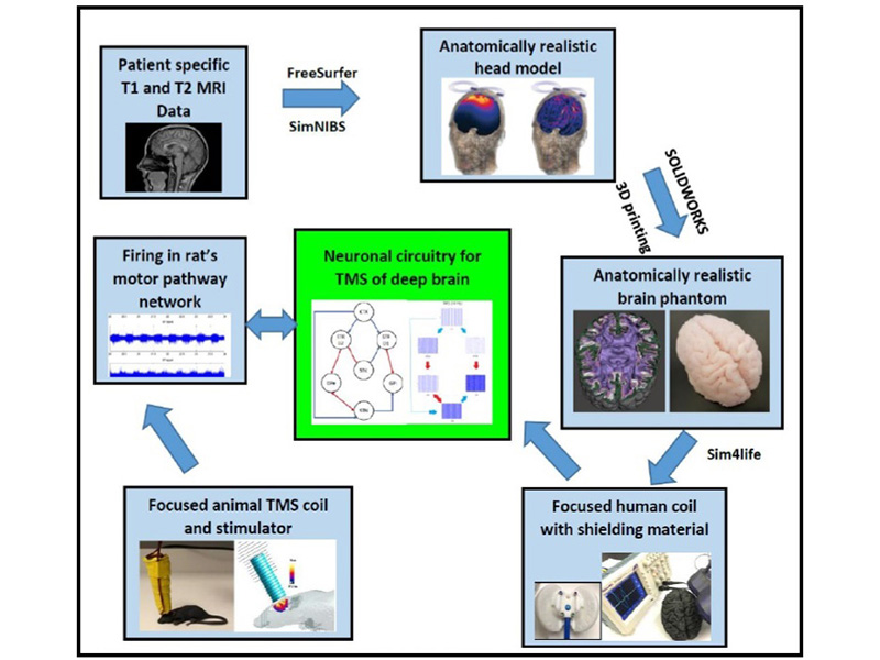 Biomagnetics Lab Graphic 2