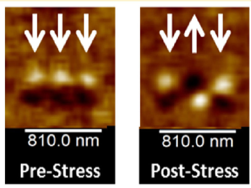 Manipulating the magnetic state of an array of nanoscale magnets with electric field induced stres